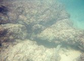 Another underwater shot