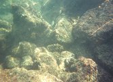 And yet another... underwater shot