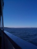 View from the boat