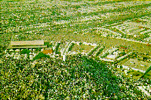 Another View of Arafat
