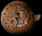 DOINA's Objects - anim.