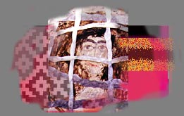 Layers 1