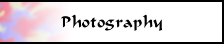 The Living Wood: Photography