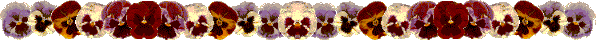 {short description of image}