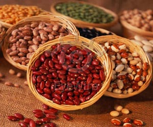 Los frijoles crudos
tienen fama de venenosos; 
necesitan cocerse bien 
para que puedan ser digeridos