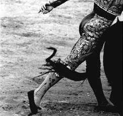 '...nadie mencion siquiera 
que aquel torero y t 
vivieron un tiempo juntos'