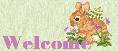 Welcome!