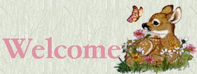 Welcome!