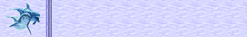 Dolphines Background Set!