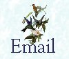 Email!
