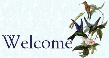Welcome!