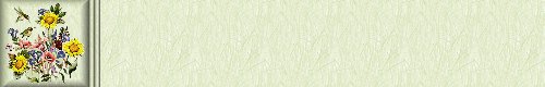 Hummingbird Background Set One!