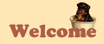 Welcome!