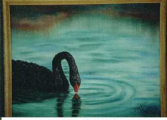 Black Swan -11x14 oil 
