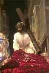 Caido1.jpg (12685 bytes)