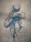 figure study