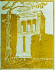 Villa Letizia - linoleum 30x20