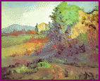 campagna pisana - olio su tela 50x70