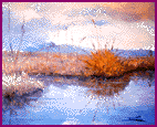 laguna - olio su tela 40x50