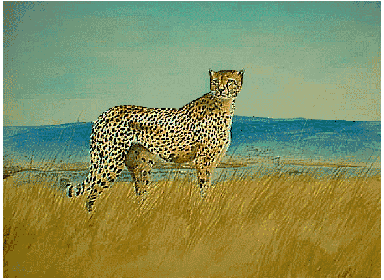 Painting:- Cheetah,select to view the big picture.