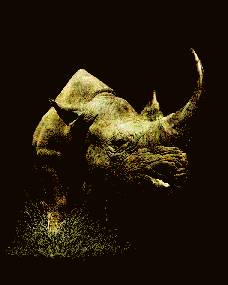 Painting:- Rhino,select to view the big picture.