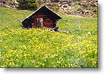 val portella
