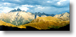 cima d'asta