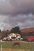 A Farm north of San Francisco