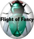 fly
