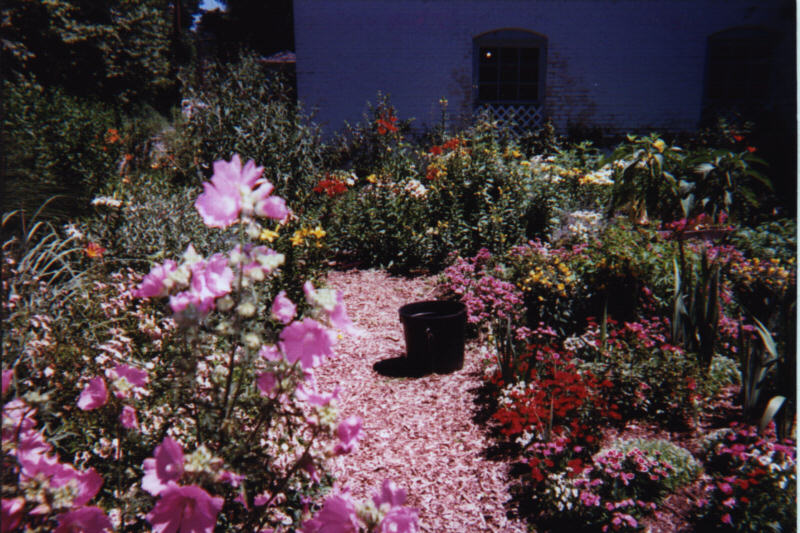 Cottage Garden