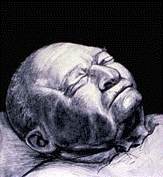 Cadaver