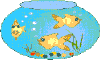 Fish N Bowl