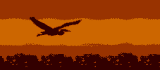 Heron