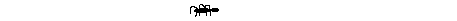 Ant