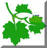 leafcan1.jpg (4144 bytes)