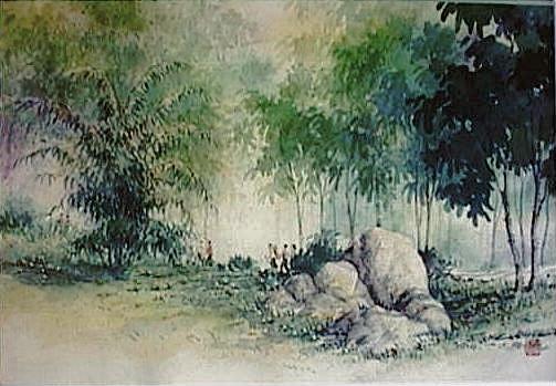 Country Scene