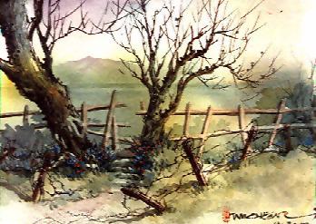 Country Side