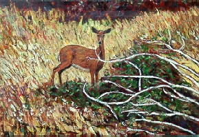Deer