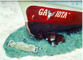 Shade Dogs