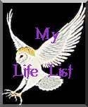 my life list