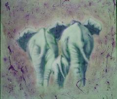 Elephants