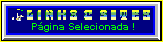 Links & Sites - Pgina Selecionada