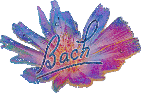 bacch.gif (34163 bytes)