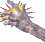 pranhand.gif (11602 bytes)