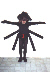 Black Widow Spider