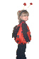 Ladybug