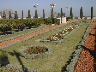 Lower Terraces