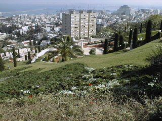 Lower Terraces