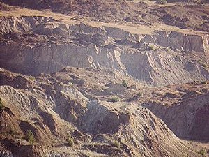 ashcanyons graphic