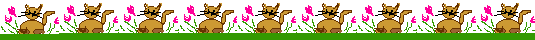 kittyline2.gif